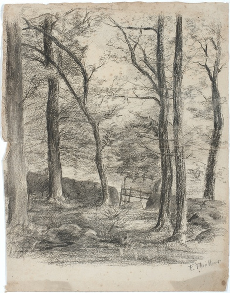 Paysage