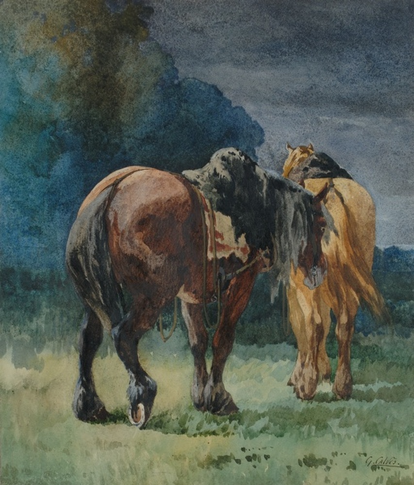 Chevaux de labour
