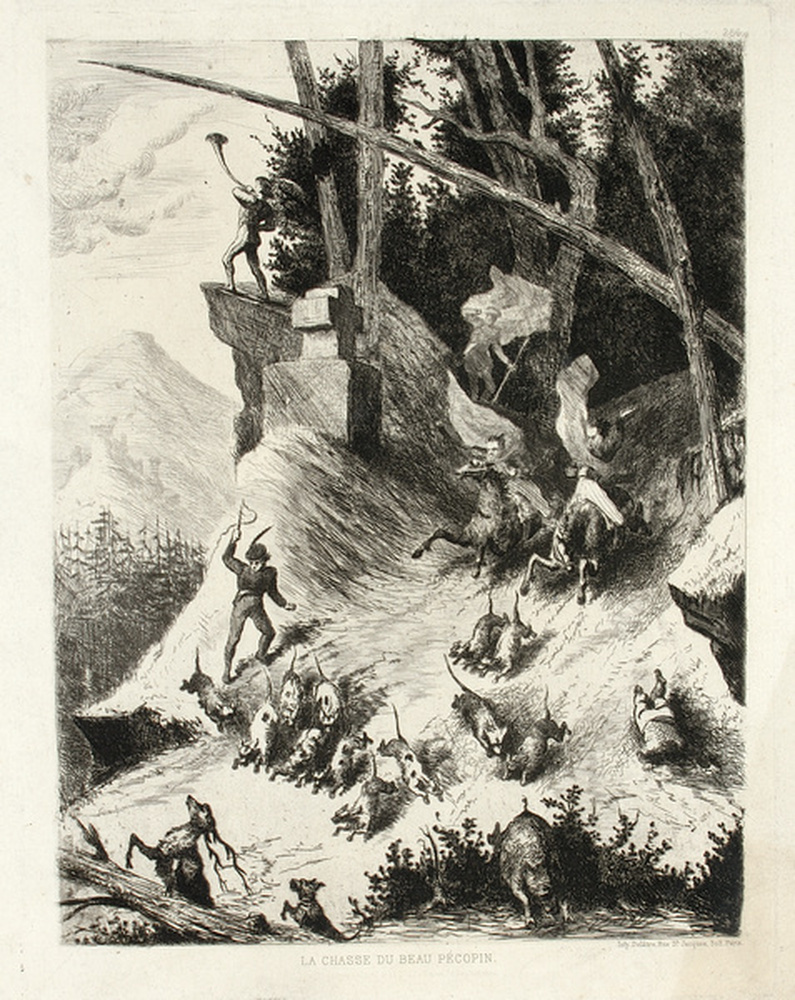 La chasse du beau Pécopin