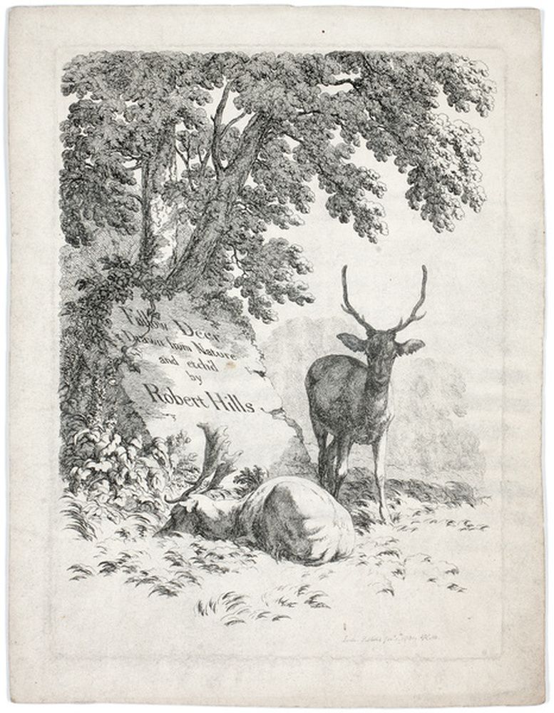 Deux cerfs dont un couché près d'un arbre et d'une pierre gravée