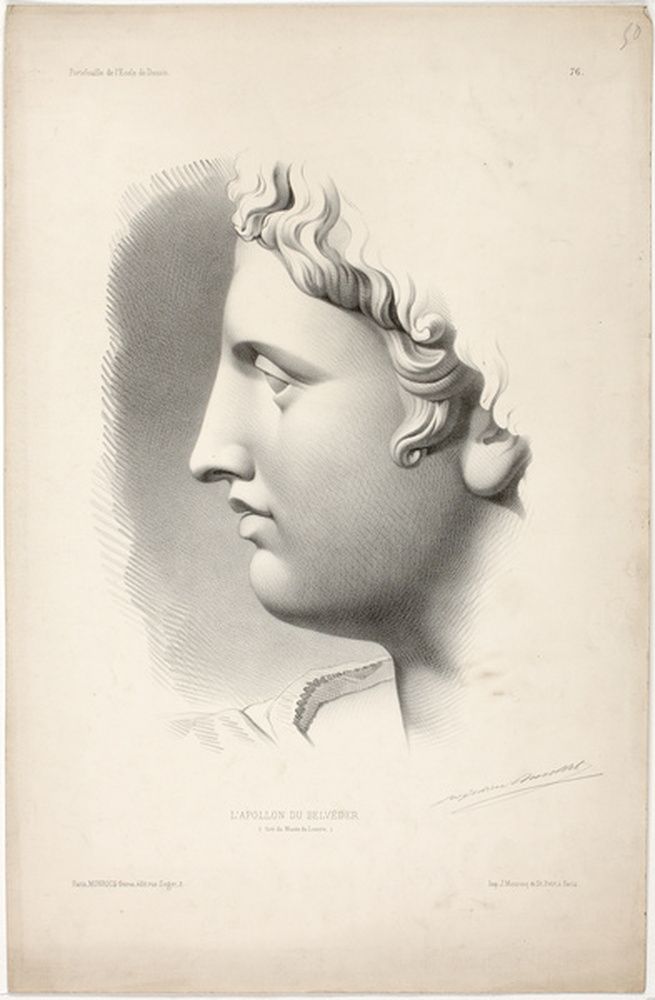 Tête de l'Apollon du Belvedère