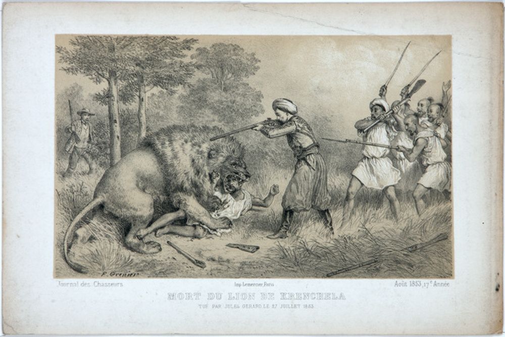 Mort du lion de Krenchela