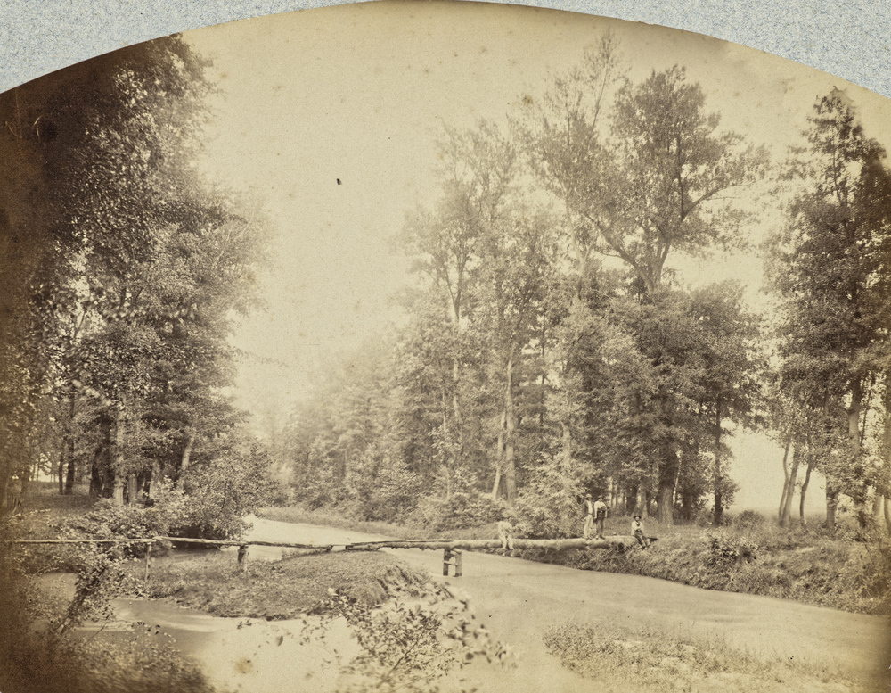 Passerelle sur le Lignon