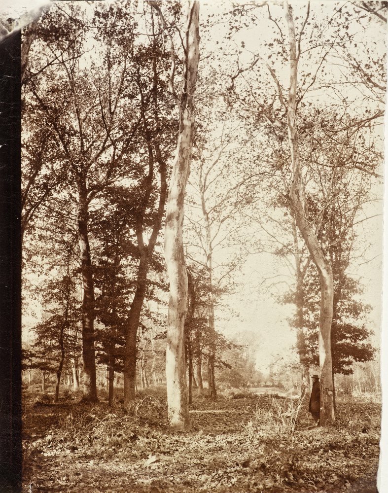 Personnage adossé à un arbre, chemin de Précivet