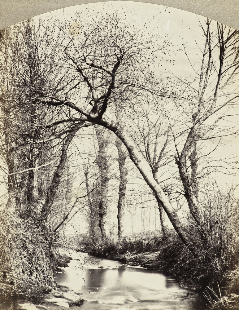 Bords de la Mare (Saint-Galmier)