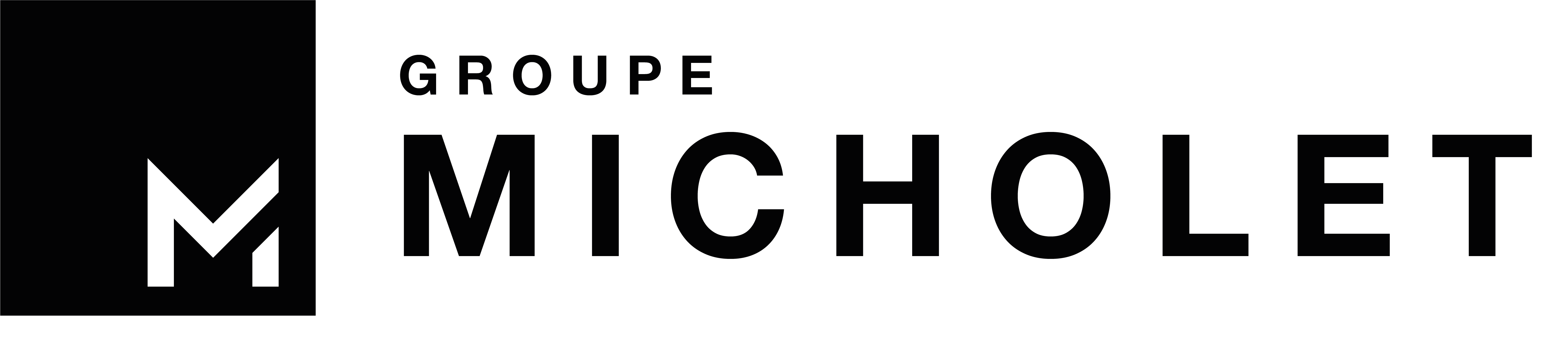 Groupe Micholet